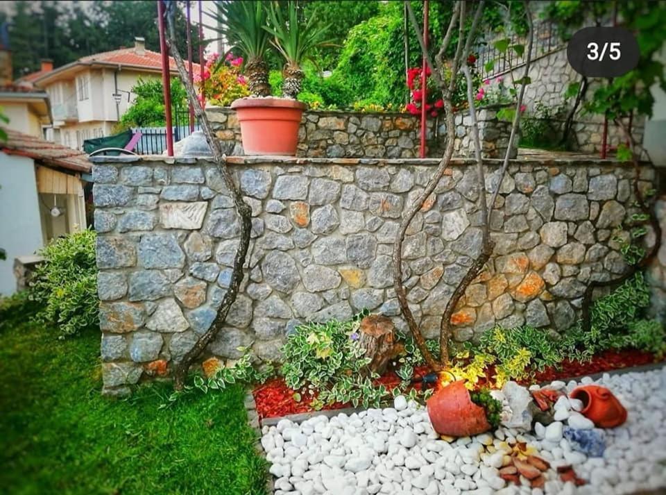 Snegar Apartments オフリド エクステリア 写真