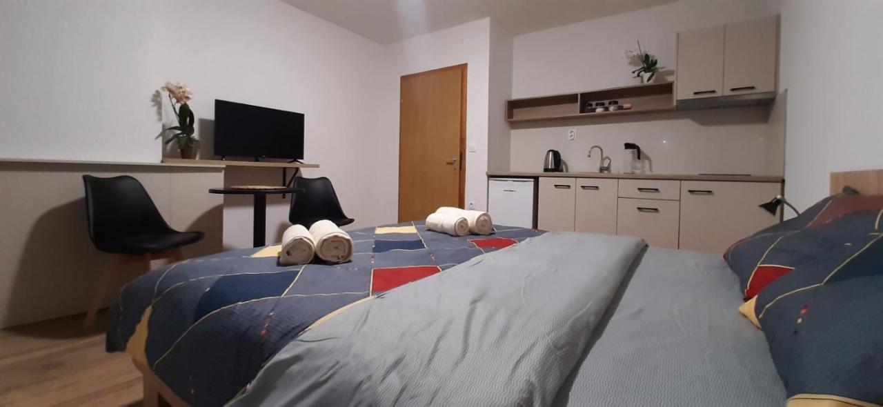 Snegar Apartments オフリド エクステリア 写真