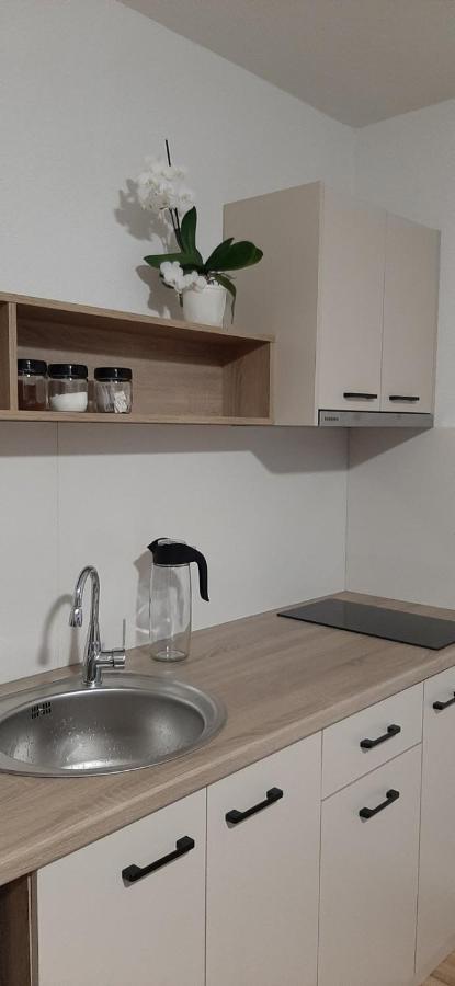 Snegar Apartments オフリド エクステリア 写真