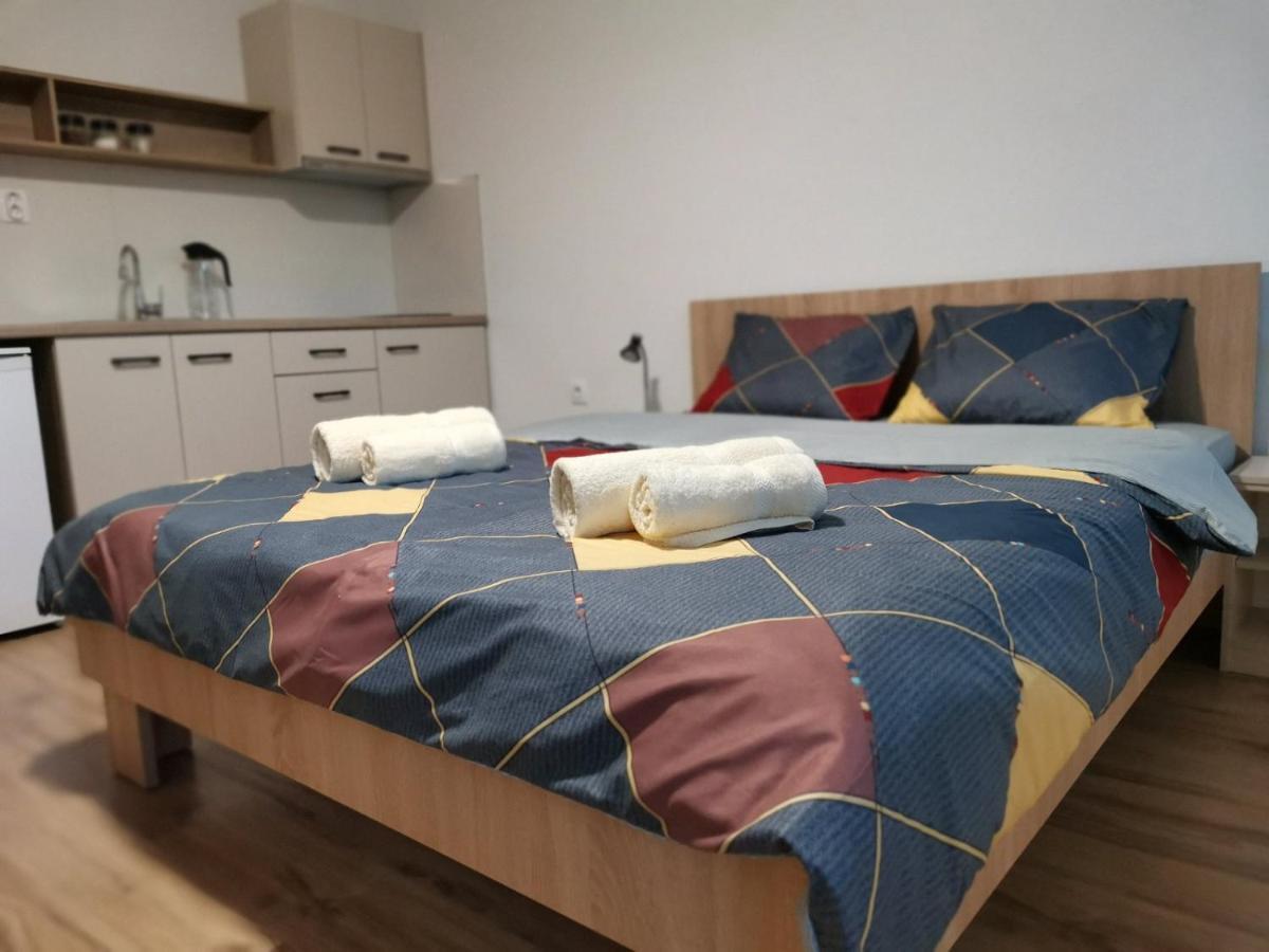Snegar Apartments オフリド エクステリア 写真