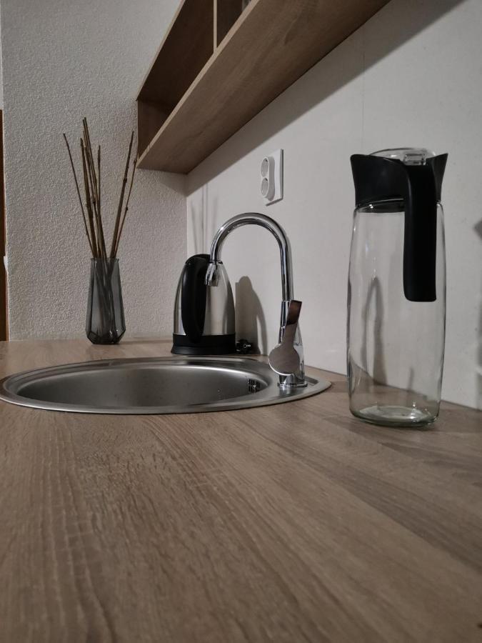 Snegar Apartments オフリド エクステリア 写真